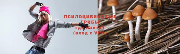 эйфоретик Алексин