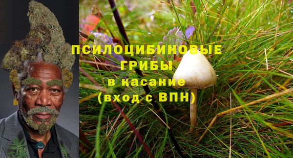 эйфоретик Алексин