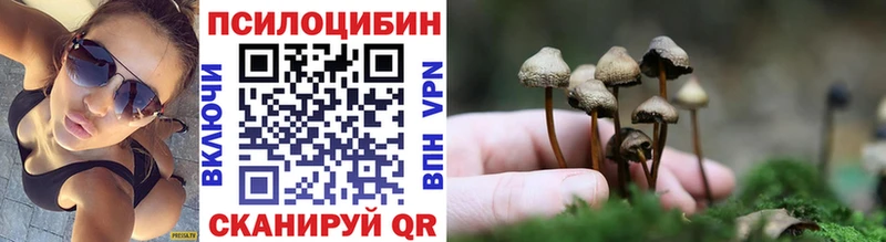 Псилоцибиновые грибы прущие грибы  ссылка на мегу зеркало  Астрахань 