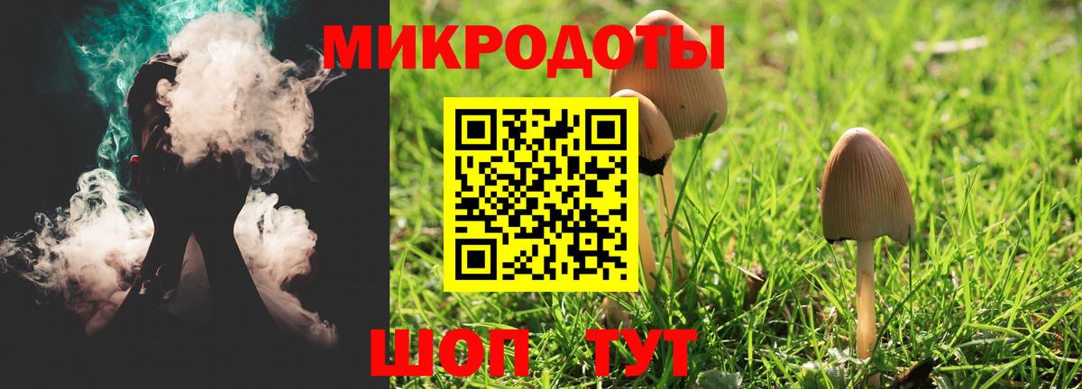 Галлюциногенные грибы Psilocybe  Псилоцибиновые грибы мицелий  Вход с VPN  Астрахань 