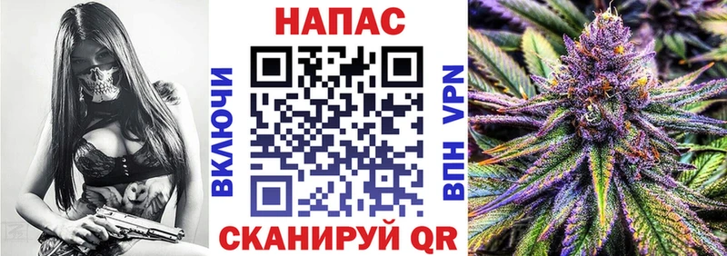купить наркотики цена  Астрахань  omg онион  маркетплейс клад  Шишки марихуана SATIVA & INDICA 